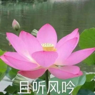 石家庄回应网传小果庄村宗教活动